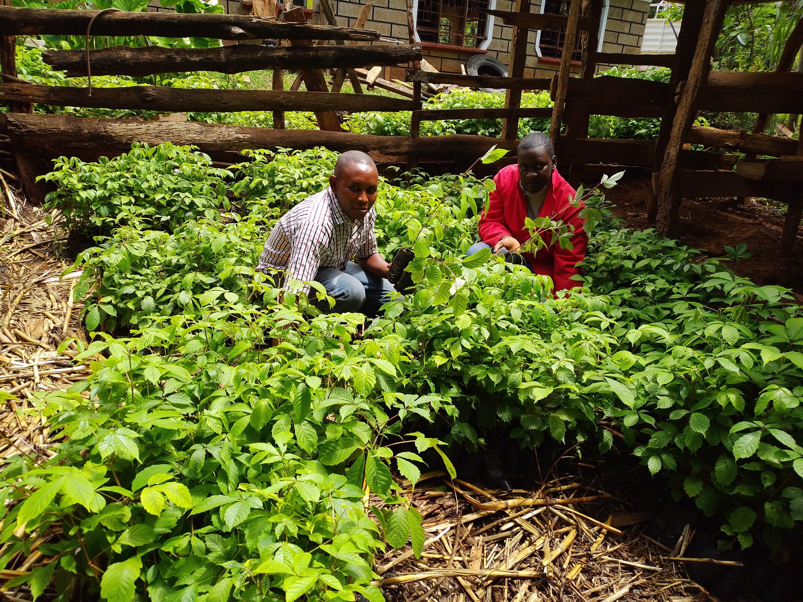 IMG_20220428_131945_1